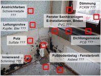 Schadstoffe in Bauwerken.jpg